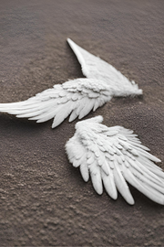 Broken Wings - Diffuser Oil - Two Size Options