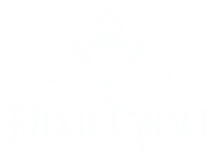 Cotton Candy - 11 oz Glass Candle - Cotton Wick – Dixie Grace