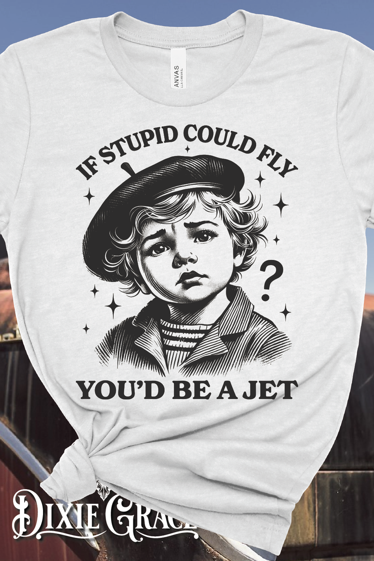 If Stupid Could Fly - Silver - Long Sleeve, Sweatshirt, Hoodie Option - Graphic Tee