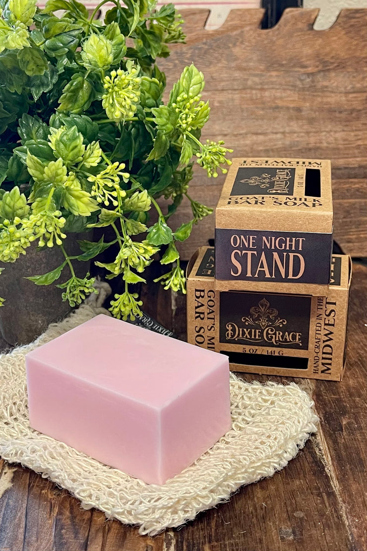 One Night Stand - Goat's Milk Bar Soap